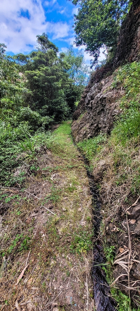 Levada das Voltinhas — Die ersten Meter im Wald — Foto 3