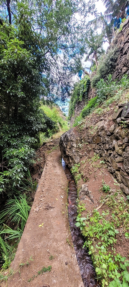 Levada das Voltinhas — Die ersten Meter im Wald — Foto 4