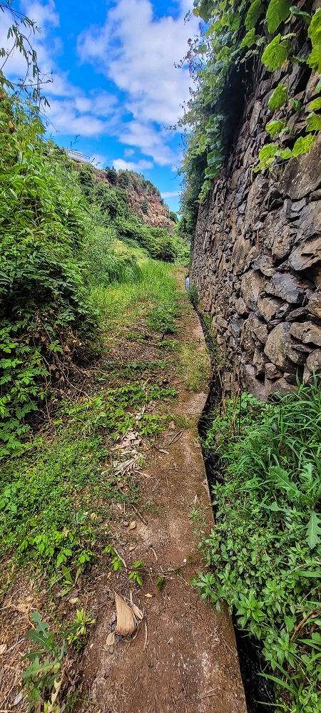 Levada das Voltinhas — Die ersten Meter im Wald — Foto 6