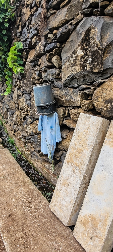 Levada das Voltinhas — Weiter in den Bananenterrassen — Foto 1