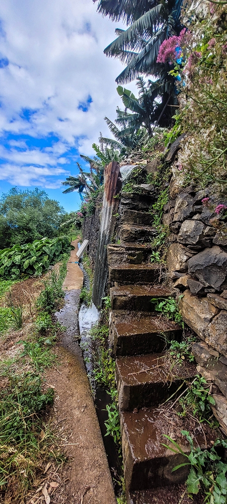Levada das Voltinhas — Weiter in den Bananenterrassen — Foto 3