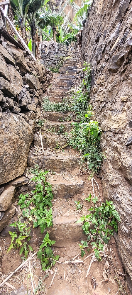 Levada das Voltinhas — Weiter in den Bananenterrassen — Foto 6