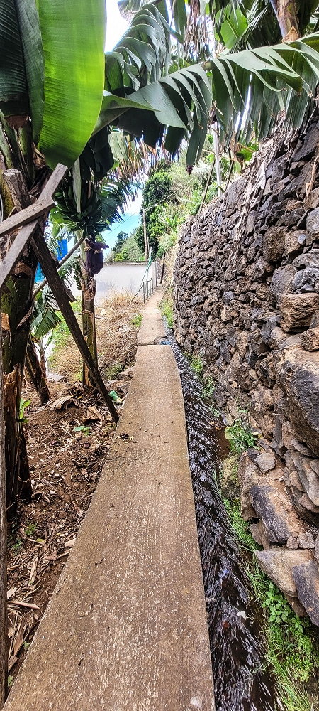 Levada das Voltinhas — Weiter in den Bananenterrassen — Foto 7