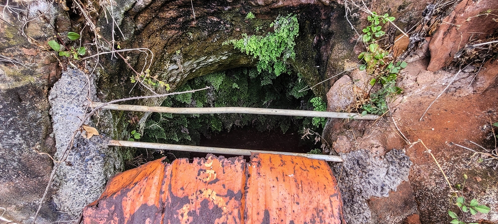 Levada das Voltinhas — Weiter in den Bananenterrassen — Foto 8