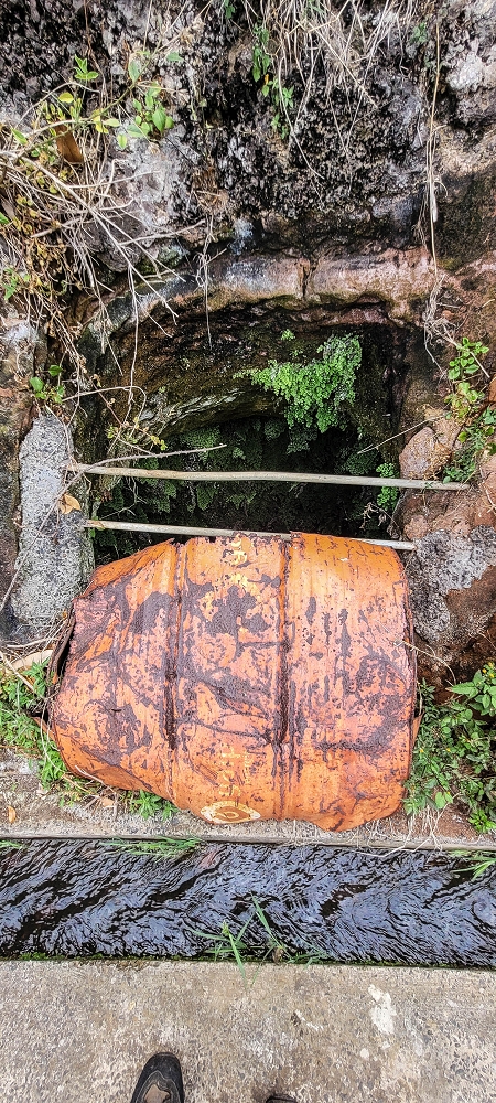 Levada das Voltinhas — Weiter in den Bananenterrassen — Foto 9