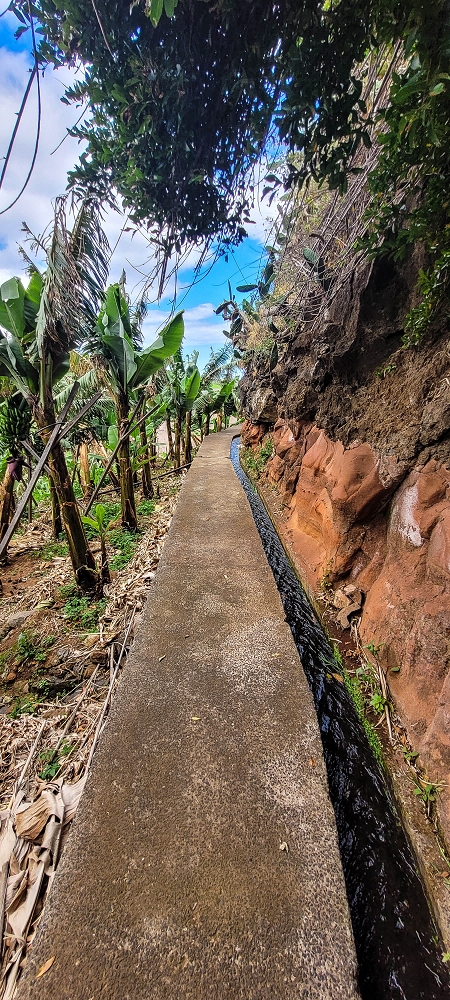 Levada das Voltinhas — Weiter in den Bananenterrassen — Foto 10