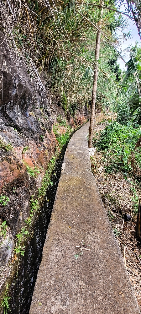 Levada das Voltinhas — Weiter in den Bananenterrassen — Foto 11