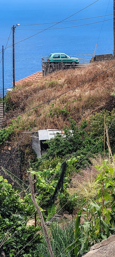 Levada das Voltinhas — Weiter in den Bananenterrassen — Foto 13