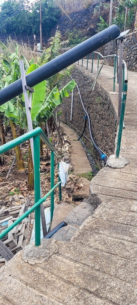 Levada das Voltinhas — Weiter in den Bananenterrassen — Foto 14