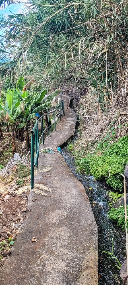 Levada das Voltinhas — Weiter in den Bananenterrassen — Foto 15
