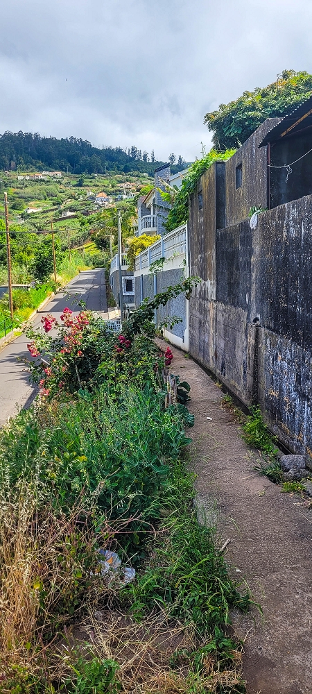 24 de junho de 2022 Cinco descobertas de levadas em torno de Canhas — Levada da Faja do Lombo de Piedade: cruzamento com o Caminho do Lombo da Piedade — foto 2