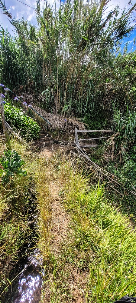 Levada do Lombo de Sao Joao — From the second distribution hut to the reservoir — photo 6
