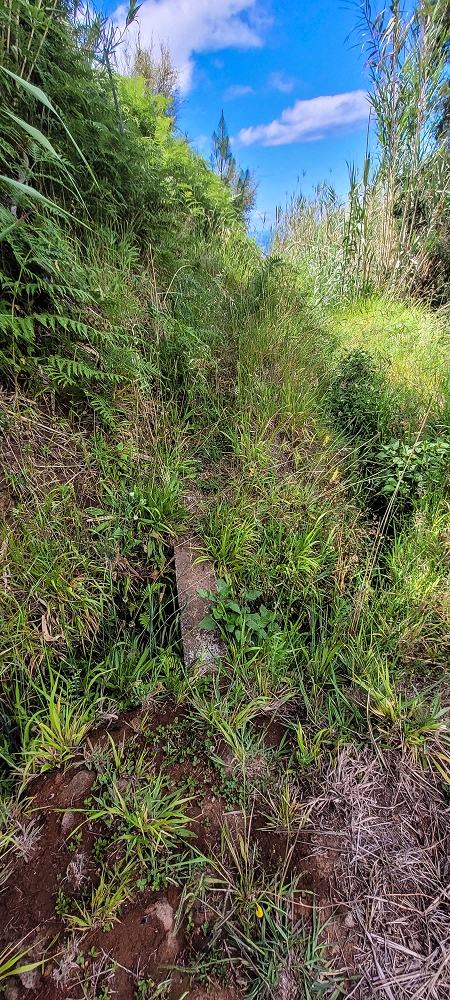 Levada do Lombo de Sao Joao — From the second distribution hut to the reservoir — photo 8