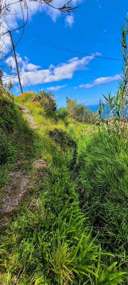 Levada do Lombo de Sao Joao — From the second distribution hut to the reservoir — photo 9