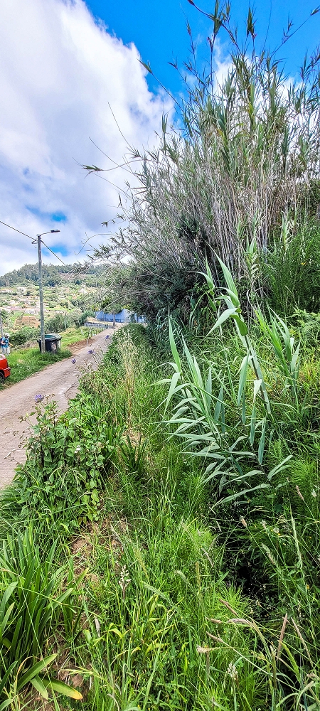 Levada do Lombo de Sao Joao — From the second distribution hut to the reservoir — photo 13