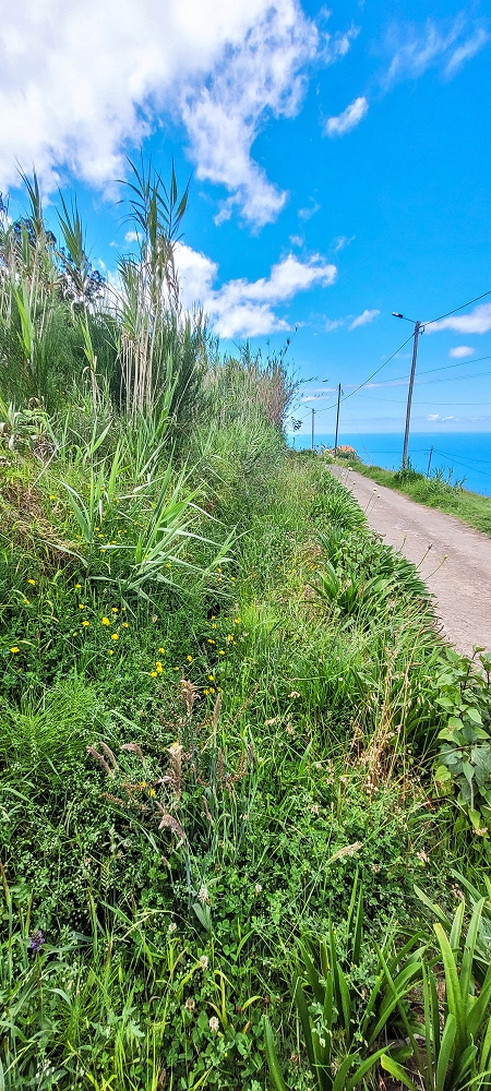 Levada do Lombo de Sao Joao — From the second distribution hut to the reservoir — photo 14