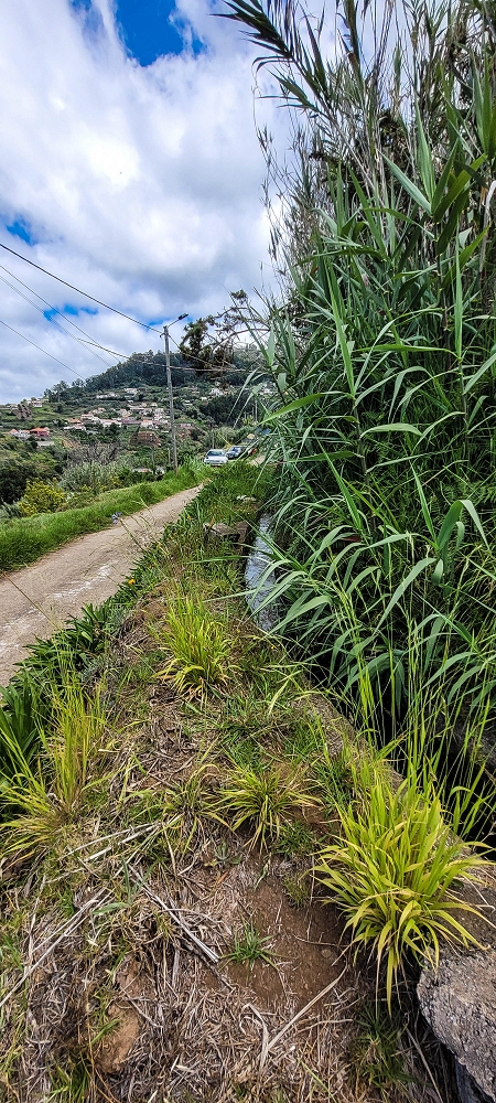 Levada do Lombo de Sao Joao — From the second distribution hut to the reservoir — photo 18