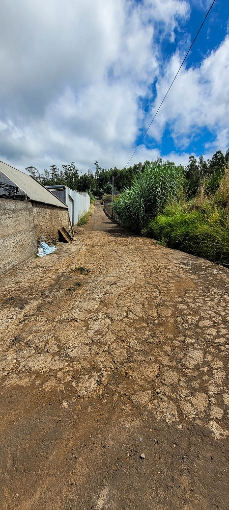 24 de junho de 2022 Cinco descobertas de levadas em torno de Canhas — Ramo de alimentação a partir da Levada Nova, pelo Lombo de Sao Joao — foto 2