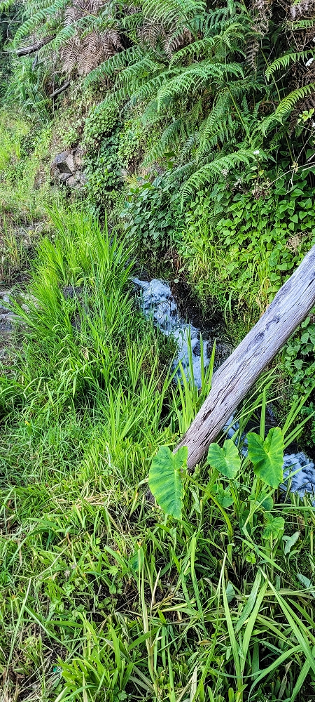 Levada do Lombo de Sao Joao — From the first to the second distribution hut — photo 13