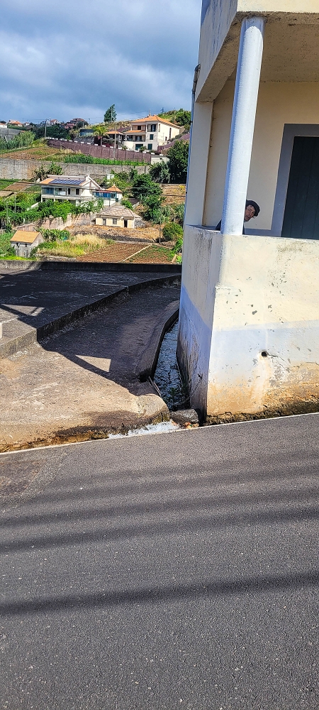24 de junho de 2022 Cinco descobertas de levadas em torno de Canhas — Levada da Faja do Lombo de Piedade: cruzamento com o Caminho do Lombo da Piedade — foto 5