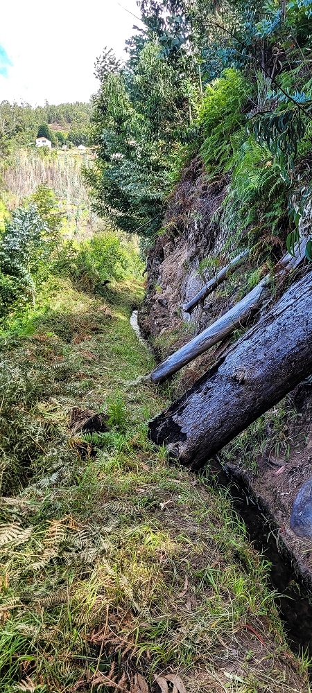 Levada do Lombo de Sao Joao — From the first to the second distribution hut — photo 11