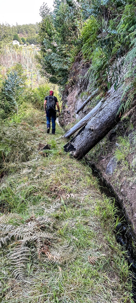 Levada do Lombo de Sao Joao — From the first to the second distribution hut — photo 10