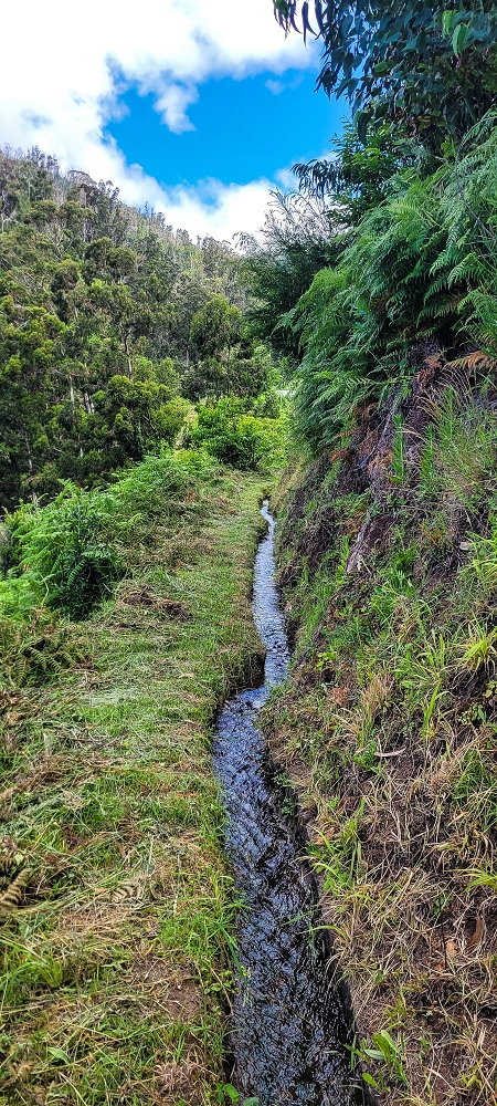 Levada do Lombo de Sao Joao — From the first to the second distribution hut — photo 9
