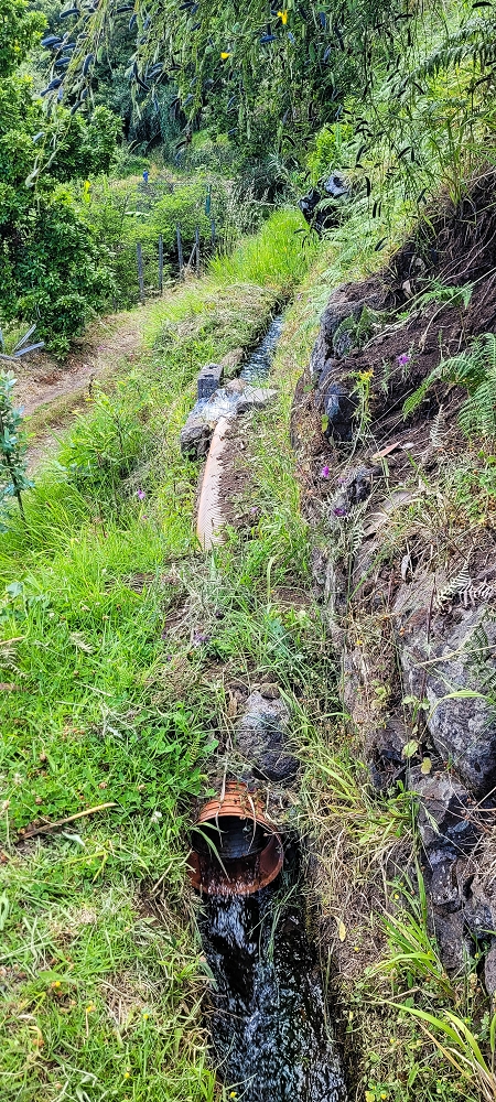Levada do Lombo de Sao Joao — From the first to the second distribution hut — photo 8