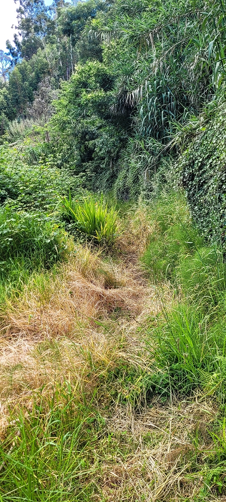 Levada do Lombo de Sao Joao — From the first to the second distribution hut — photo 7