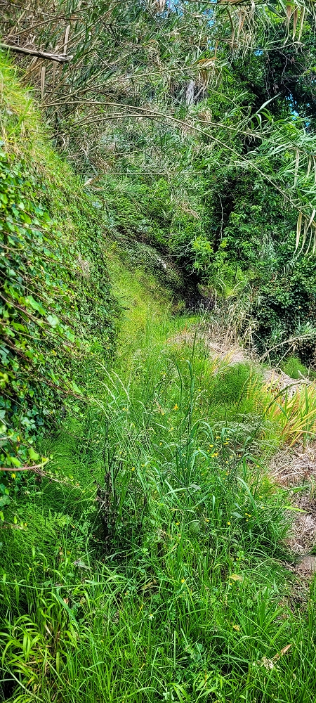Levada do Lombo de Sao Joao — From the first to the second distribution hut — photo 6