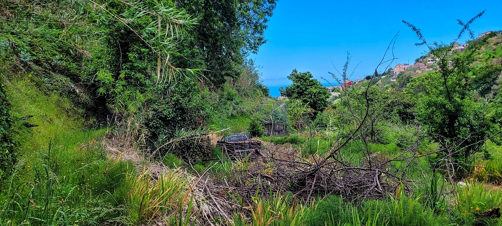 Levada do Lombo de Sao Joao — From the first to the second distribution hut — photo 5