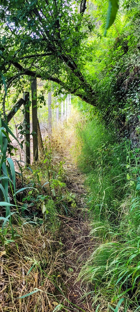 Levada do Lombo de Sao Joao — From the first to the second distribution hut — photo 4
