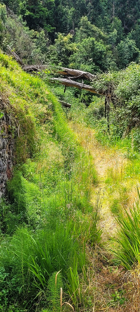 Levada do Lombo de Sao Joao — From the first to the second distribution hut — photo 2