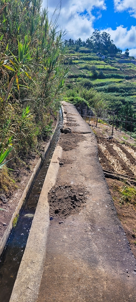 24 de junho de 2022 Cinco descobertas de levadas em torno de Canhas — Levada da Faja do Lombo de Piedade: até à Madre — foto 1
