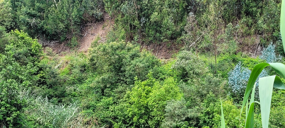 24 de junho de 2022 Cinco descobertas de levadas em torno de Canhas — Levada dos Castanheiros: entubada — foto 3