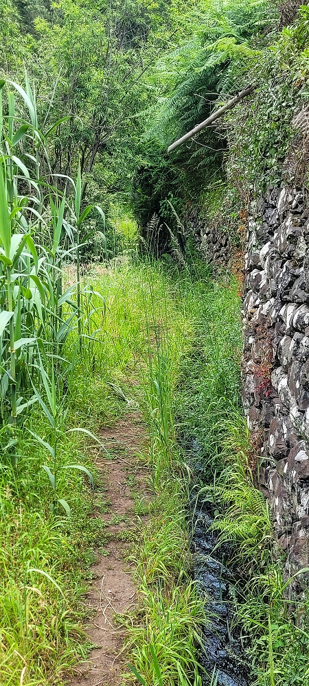 Levada do Lombo de Sao Joao — From the first to the second distribution hut — photo 1