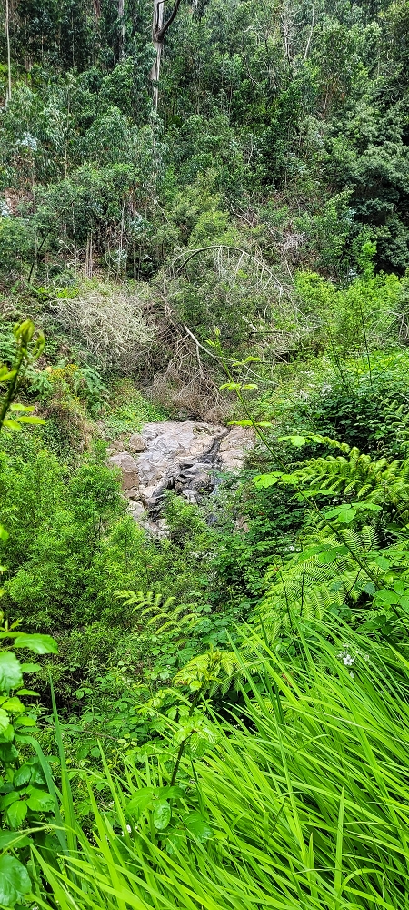 Levada do Lombo de Sao Joao — From the Madre to the first distribution hut — photo 1