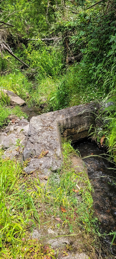 Levada do Lombo de Sao Joao — Madre — photo 1