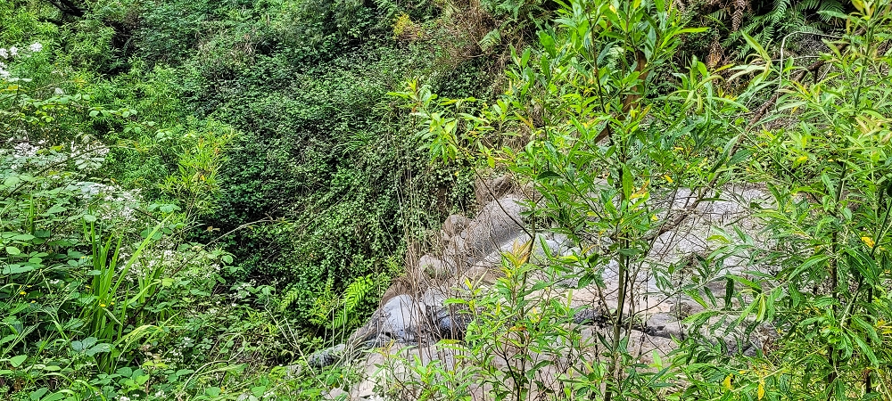 Levada do Lombo de Sao Joao — Madre — photo 9