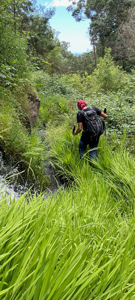 Levada do Lombo de Sao Joao — From the Madre to the first distribution hut — photo 5