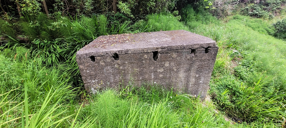 Levada do Lombo de Sao Joao — From the Madre to the first distribution hut — photo 8