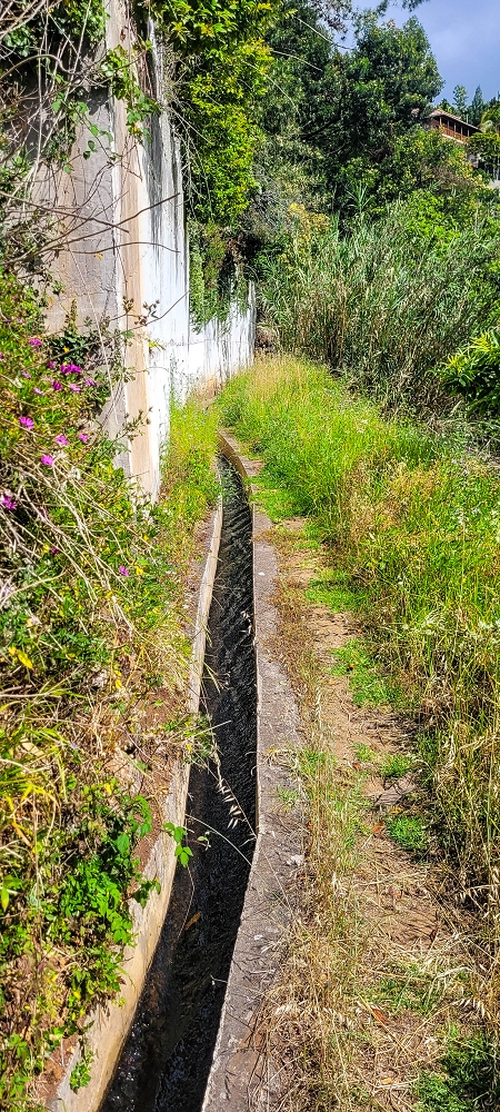 24 de junho de 2022 Cinco descobertas de levadas em torno de Canhas — Levada da Faja do Lombo de Piedade: até à Madre — foto 3
