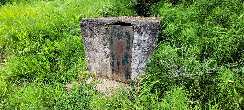 Levada do Lombo de Sao Joao — From the Madre to the first distribution hut — photo 9