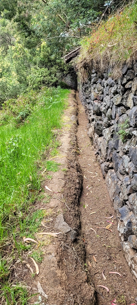 24 de junho de 2022 Cinco descobertas de levadas em torno de Canhas — Levada dos Castanheiros: aberta até ao Caminho do Lombo da Piedade — foto 2