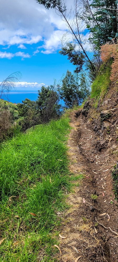 24 de junho de 2022 Cinco descobertas de levadas em torno de Canhas — Levada dos Castanheiros: aberta até ao Caminho do Lombo da Piedade — foto 5