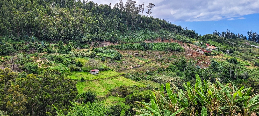24 de junho de 2022 Cinco descobertas de levadas em torno de Canhas — Levada dos Castanheiros: aberta até ao Caminho do Lombo da Piedade — foto 7