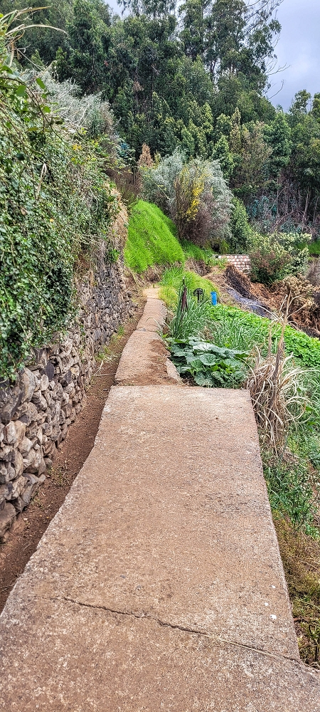 24 de junho de 2022 Cinco descobertas de levadas em torno de Canhas — Levada dos Castanheiros: aberta até ao Caminho do Lombo da Piedade — foto 8