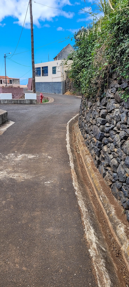 24 de junho de 2022 Cinco descobertas de levadas em torno de Canhas — Levada dos Castanheiros: aberta até ao Caminho do Lombo da Piedade — foto 9