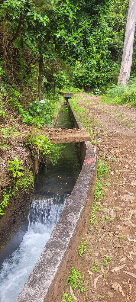 24 June 2024 On old cleared tracks to Monte do Trigo — The alternative ascent with the threshing floors — photo 1