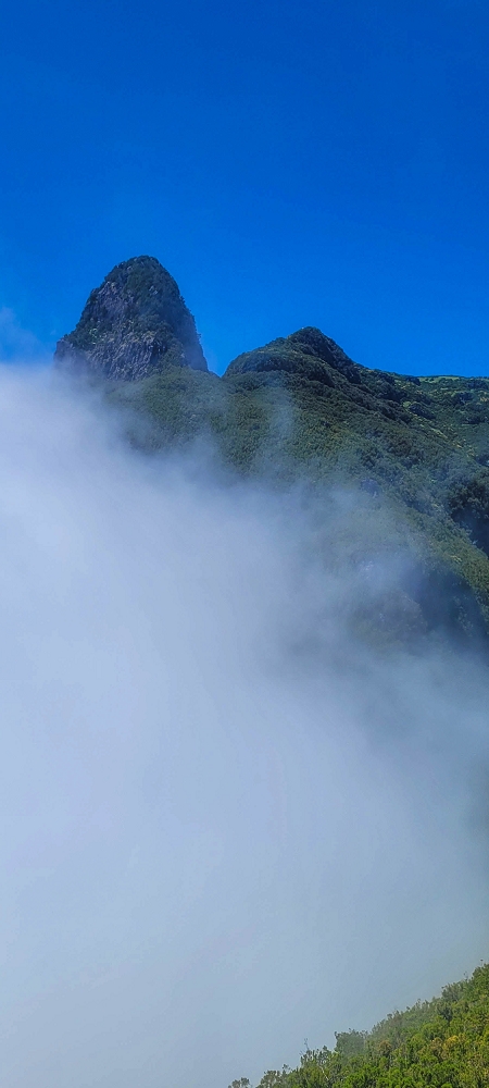 24 June 2024 On old cleared tracks to Monte do Trigo — The descent as far as the ladder — photo 6